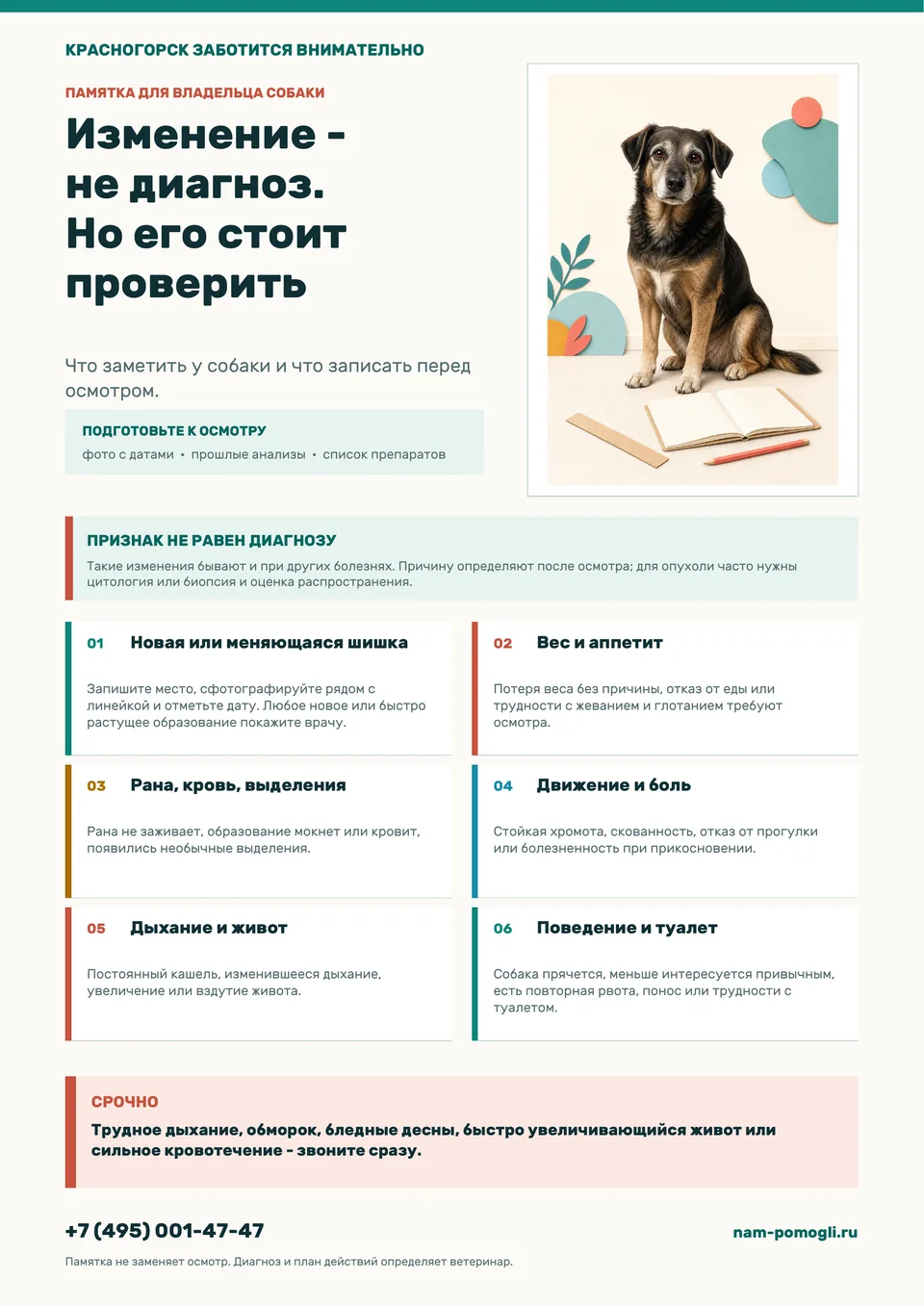 Плакат «Красногорск заботится внимательно»: изменения у собаки, которые нужно показать ветеринару