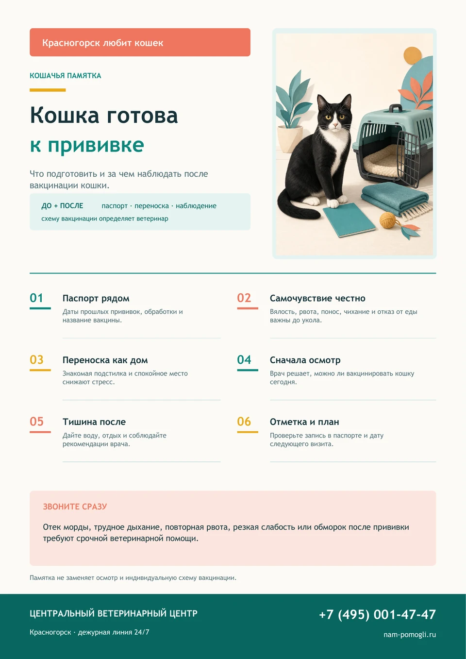 Плакат «Красногорск любит кошек. Кошка готова к прививке» с памяткой до и после вакцинации