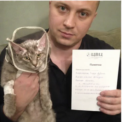 Хозяин с котом после ветеринарной процедуры и памяткой врача